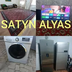 SATYN ALYARYS