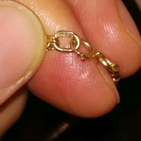 10г кардинал