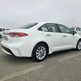 Toyota Corolla 2020