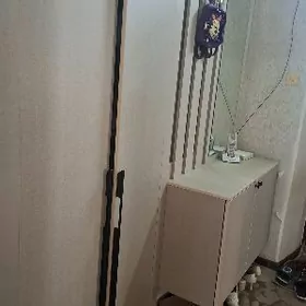Прихожая шкаф