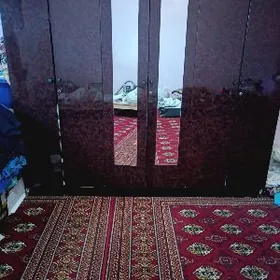 skaf trımo tumbocka