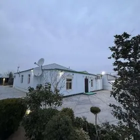 satlyk Bekrewe 8 sotak