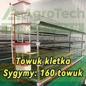 Towuk Jüýje Bedene Kletka Guş