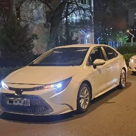 Toyota Corolla 2020
