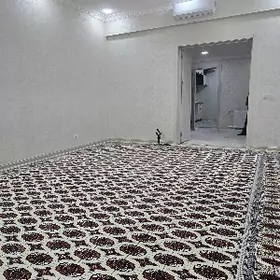 SATLYK JAY GURTLY 2 KOM