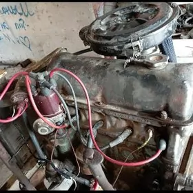 motor koropka