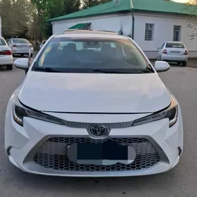 Toyota Corolla 2020