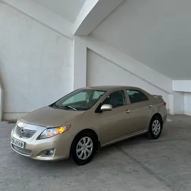 Toyota Corolla 2009