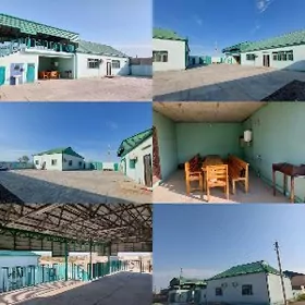 Guwlymayak satlyk jay