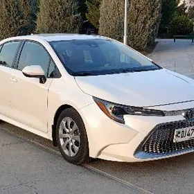 Toyota Corolla 2021