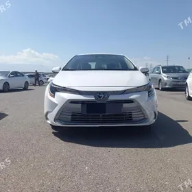 Toyota Corolla 2023