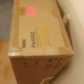Korg pa1000
