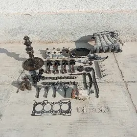 2010 wersa mator saylar