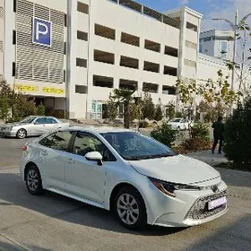Toyota Corolla 2020