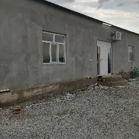 satlyk Plan jay Kelejar