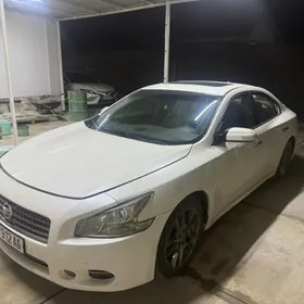 Nissan Maxima 2010
