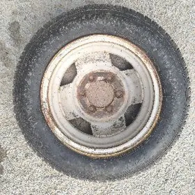 Gazel teker pakrişga tazeje