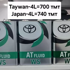 Motor yaglary (моторное масло) 5w-30