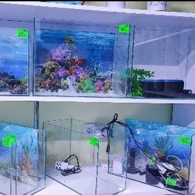 Аквариум