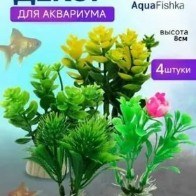 Аквариумные растения