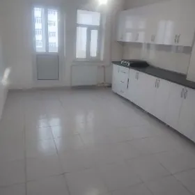 40 domyn basyndaky domlarda