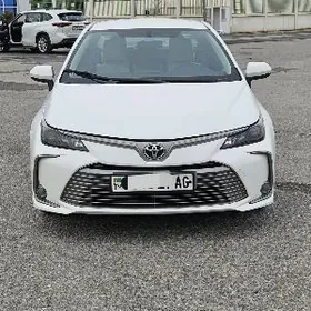 Toyota Corolla 2024
