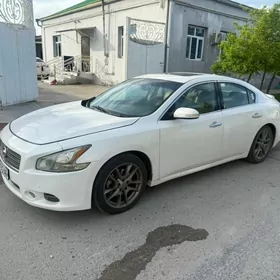 Nissan Maxima 2010