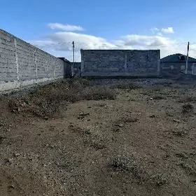 ️Änew Magtymguly️