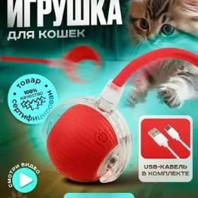 Интерактивная игрушка  кошек