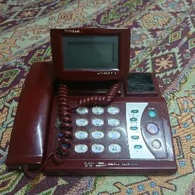 Domaşny telefon