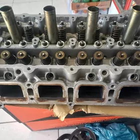 2.5 Palta kemry galowka