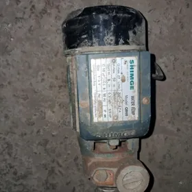 shimge nasos islap dur