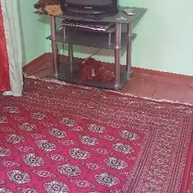 pastafka telefizor tunel