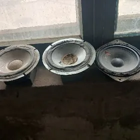 radiyo fleshkada adya.