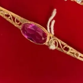 gyzyl broshga broska