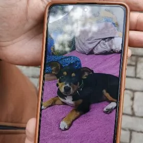 срочно продам