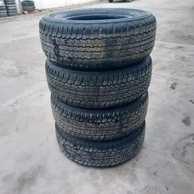 285 60 18 Dunlop arginal