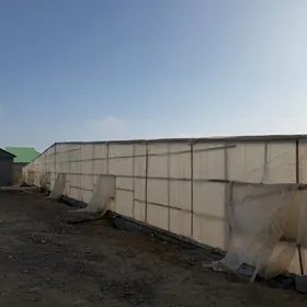 Gökdepe 50 sotak ýerde BIZNES