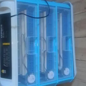 İnkubator 152 juyjelik