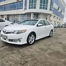 Toyota Camry 2013