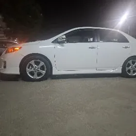 karola exclusiv diska teker 16