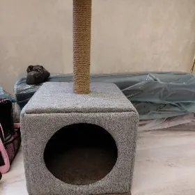 когтеточка для кошек