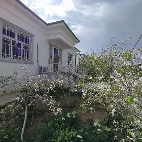 Taze Zaman ️ тазе заман