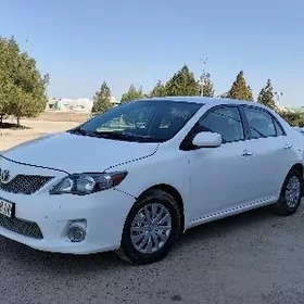 Toyota Corolla 2011
