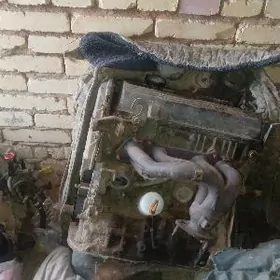 Corona mator karopga