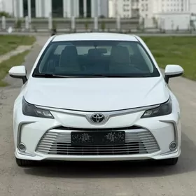 Toyota Corolla 2023