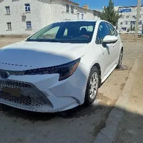 Toyota Corolla 2021