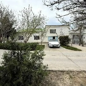 skalat önümçilik üçin arenda