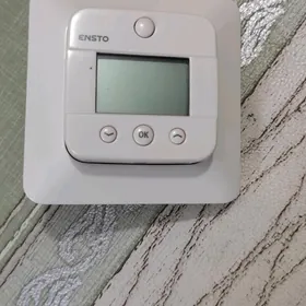 Терморегулятор ENESTO
