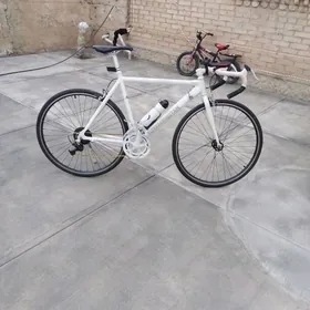 спартивни тигир